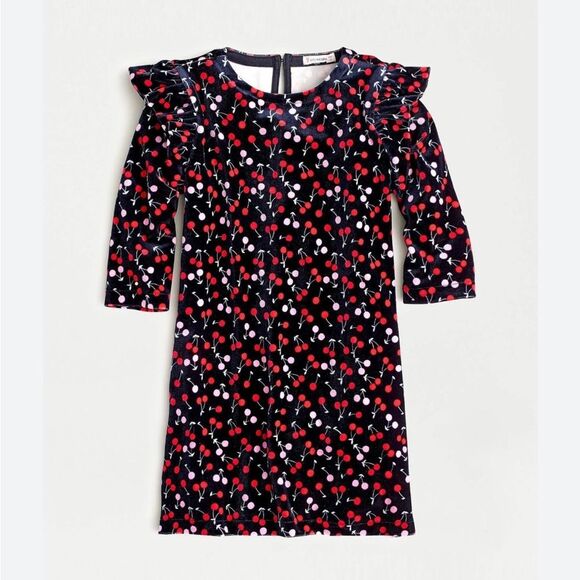 J Crew Crewcuts Velvet Cherries Shift Dress - Picture 1 of 14